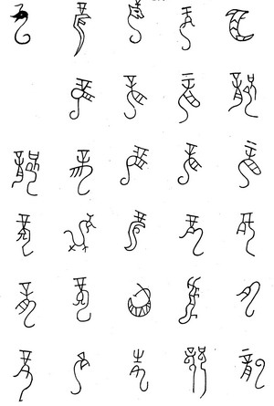 Image Image